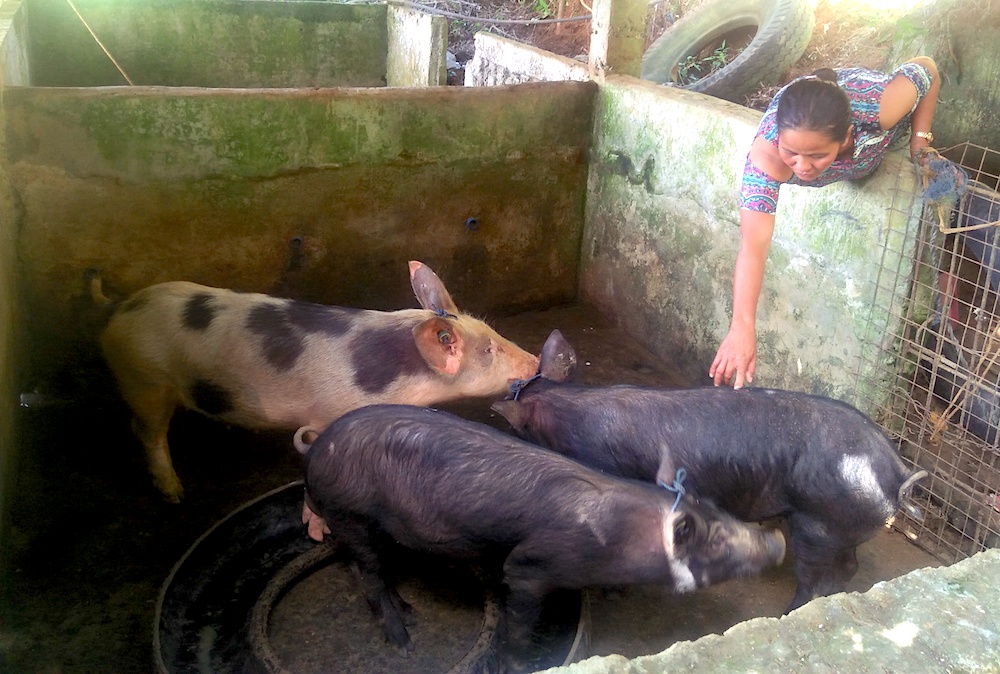 Maribeth Pigs Philippines