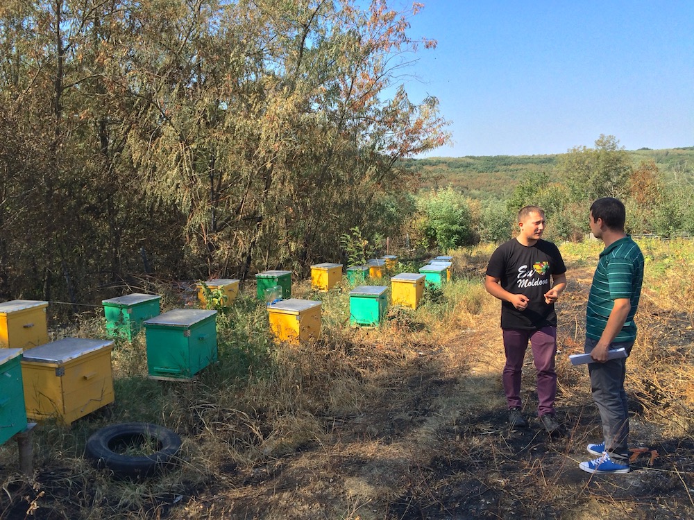 Consulting with Nicolai, a bee keeper in Moldova