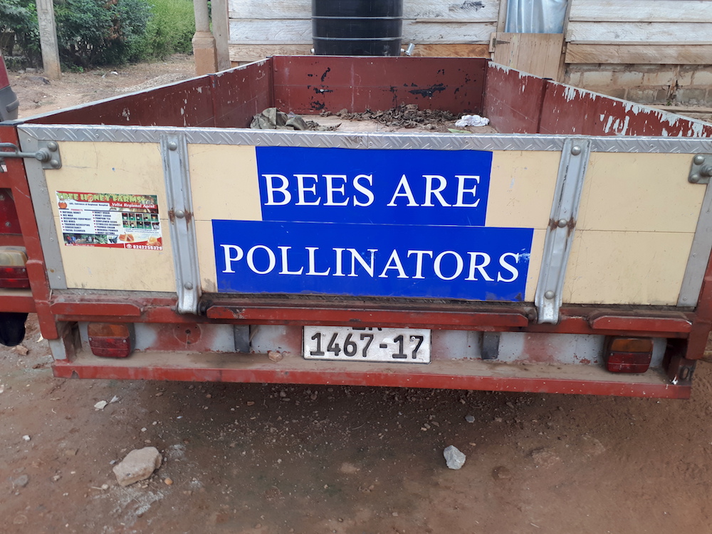 Patrick even uses his work truck to spread the word about the importance of bees!