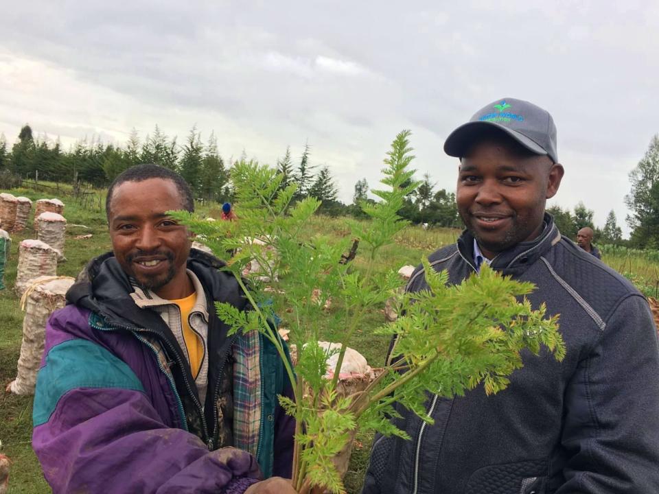 Peter and a fellow farmer show their carrot harvest