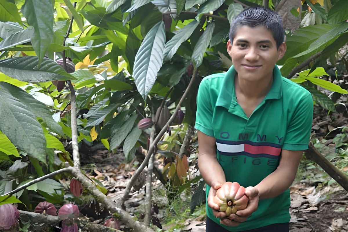 a teenage boy holds a cacao pod
