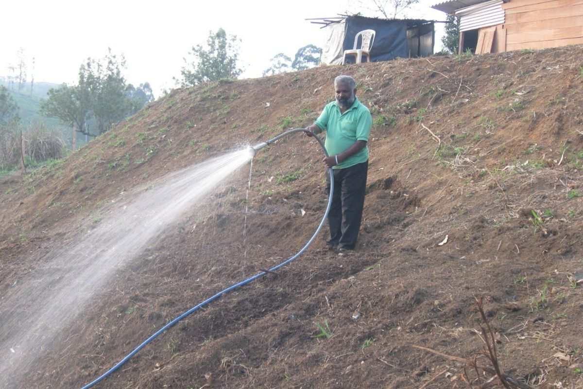 watering field