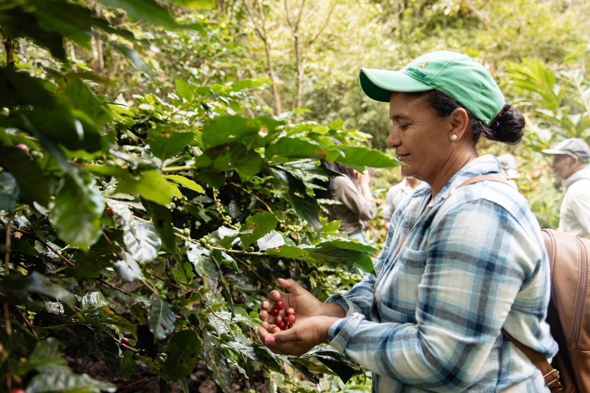 a woman in a green cap and blue plaid shirt holds a handful of coffee beans