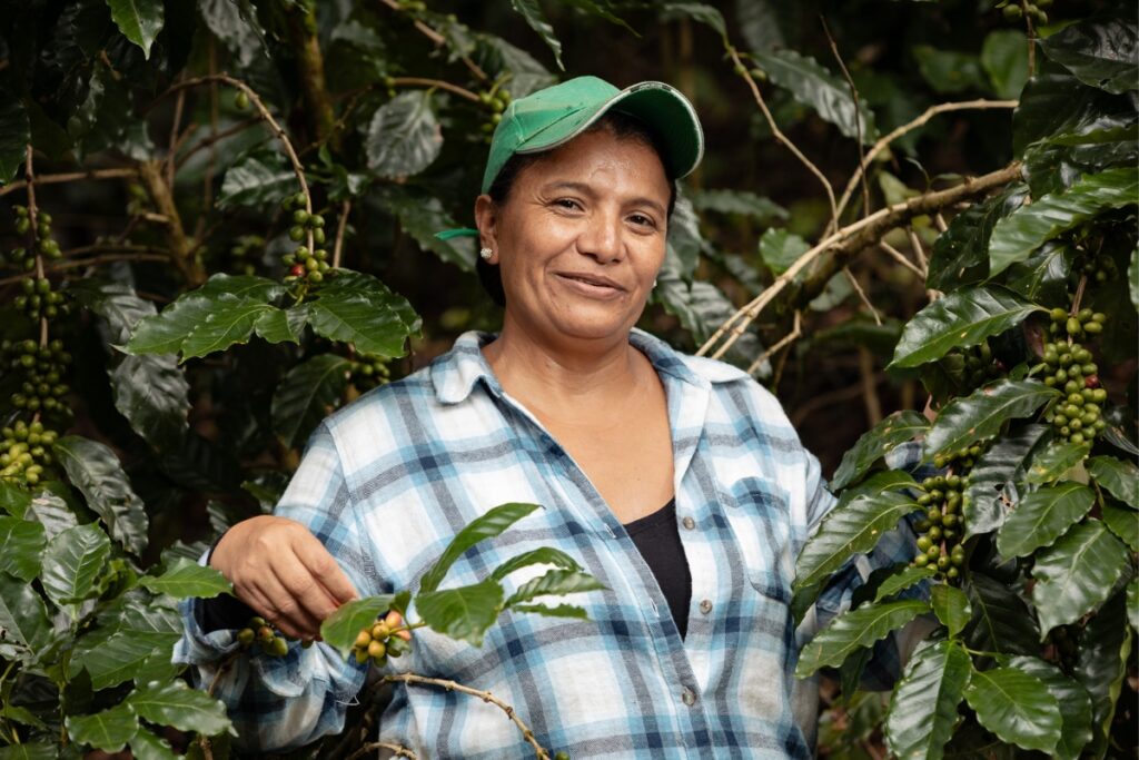 a woman in a green ball cap with a blue plaid shirt stands in front of coffee trees