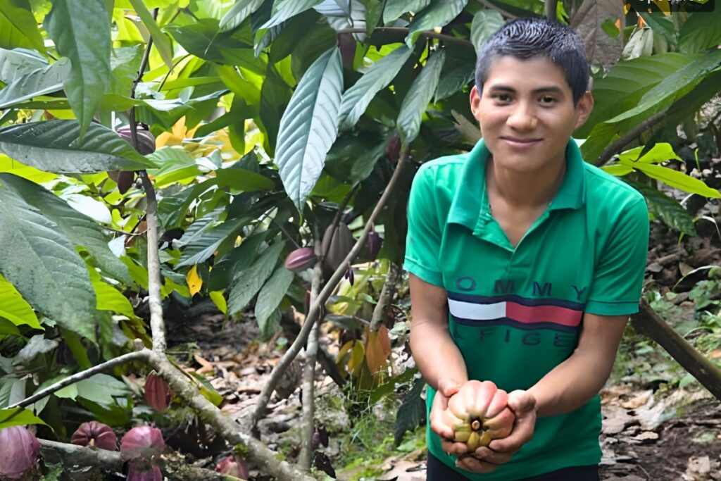 a young man holds a cacao pod
