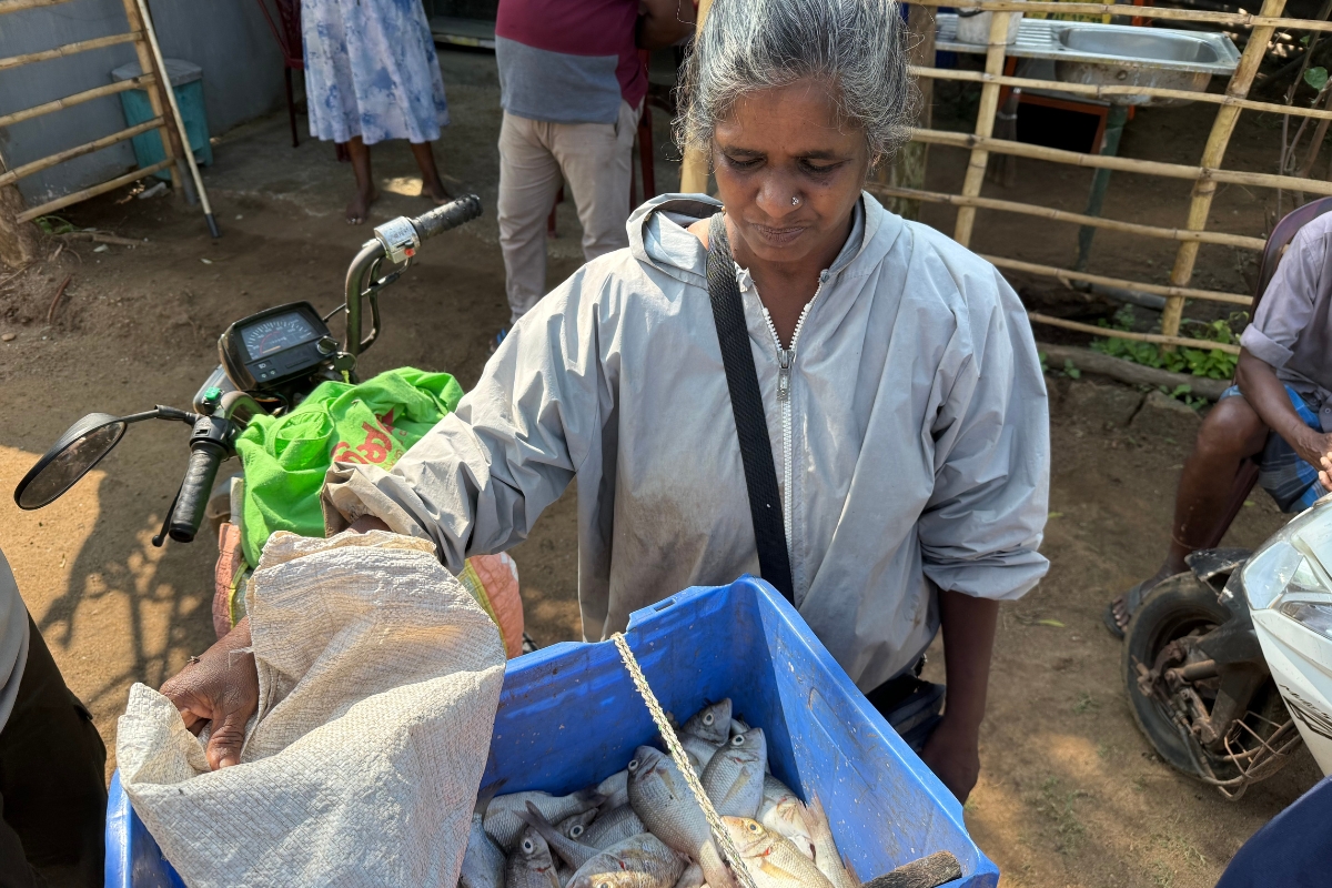 a woman looks into a blue plastic crate full of fish