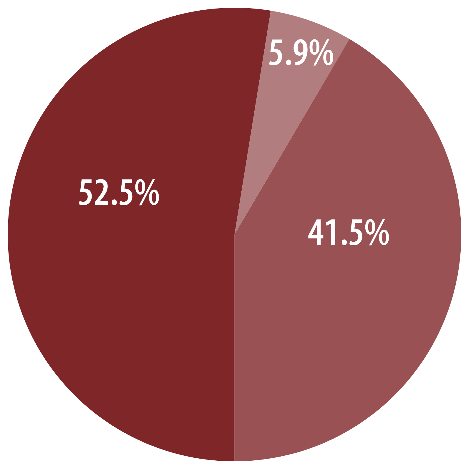 2025 Businesses by Size