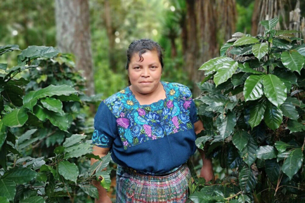 a woman stands in a forest with vegetation