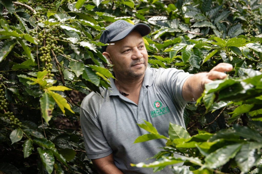 man wearing a hat and grey polo surrounded by green coffee plants