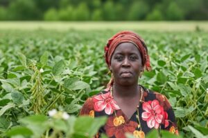 Francesca wearing a red head wrap stands in her soybean field